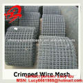 high quality heavy Galvanized crimped wire mesh (factory )